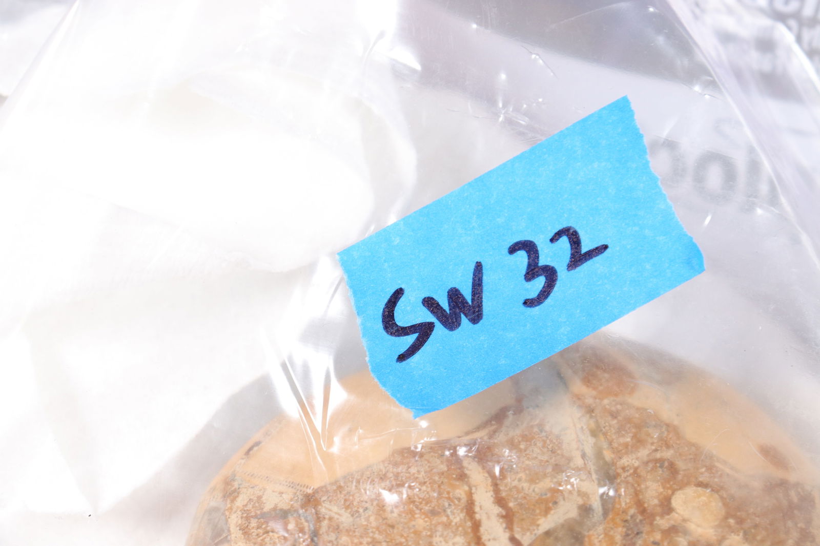 Lots fossilized items - 6