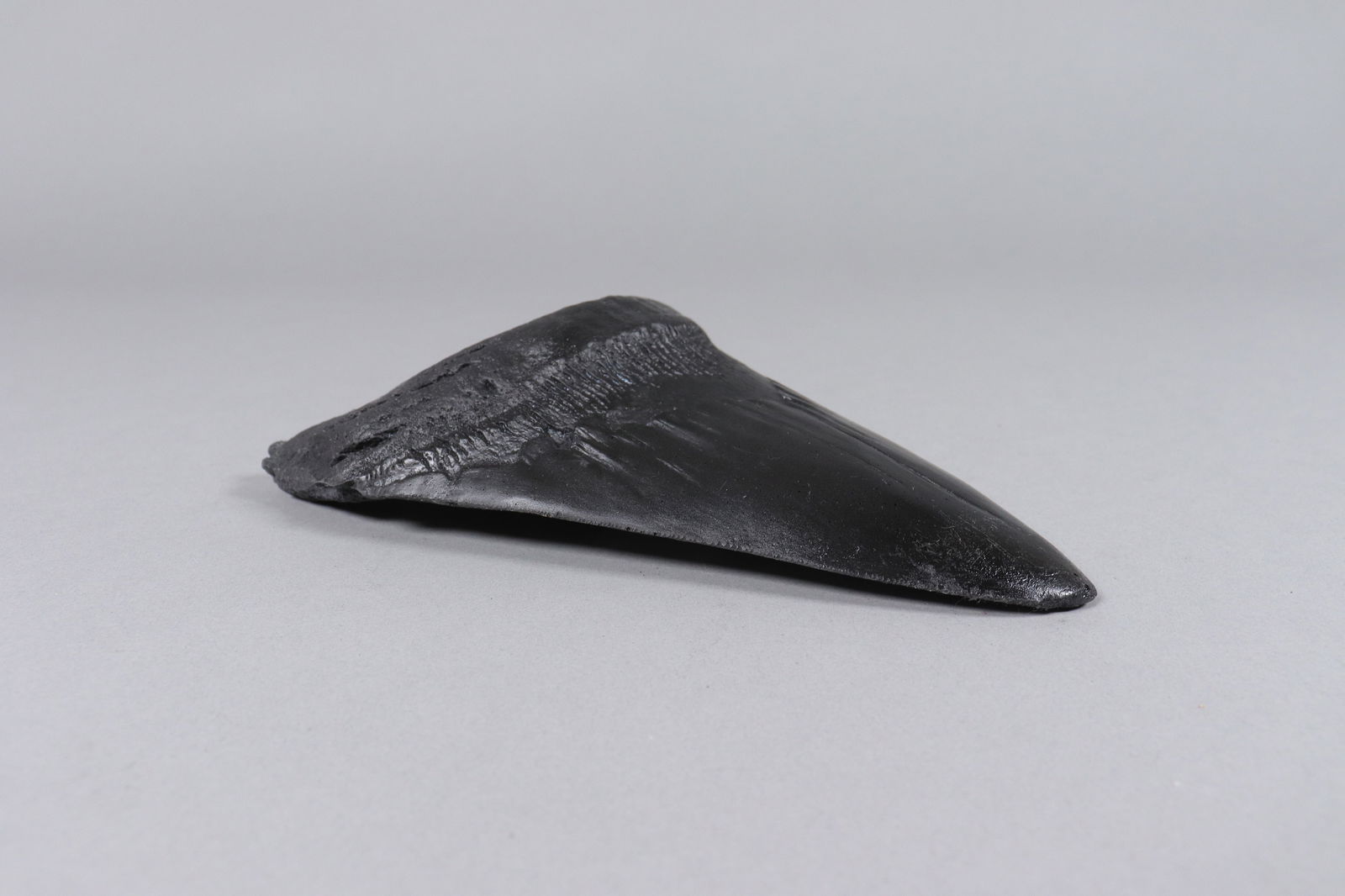 A large fossilized item - 4