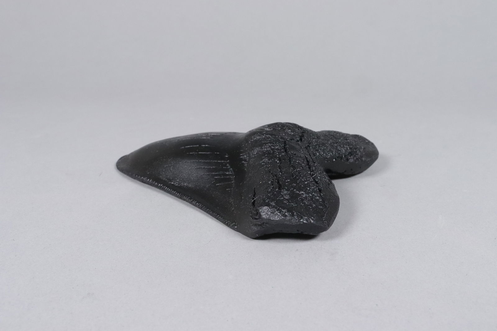 A large fossilized item - 3