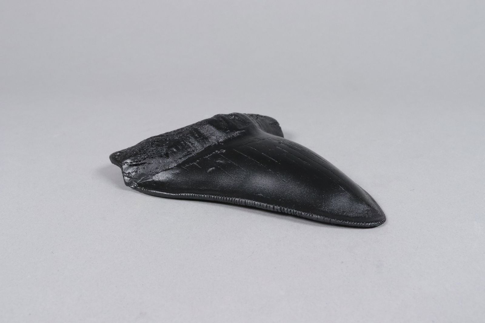 A large fossilized item - 4