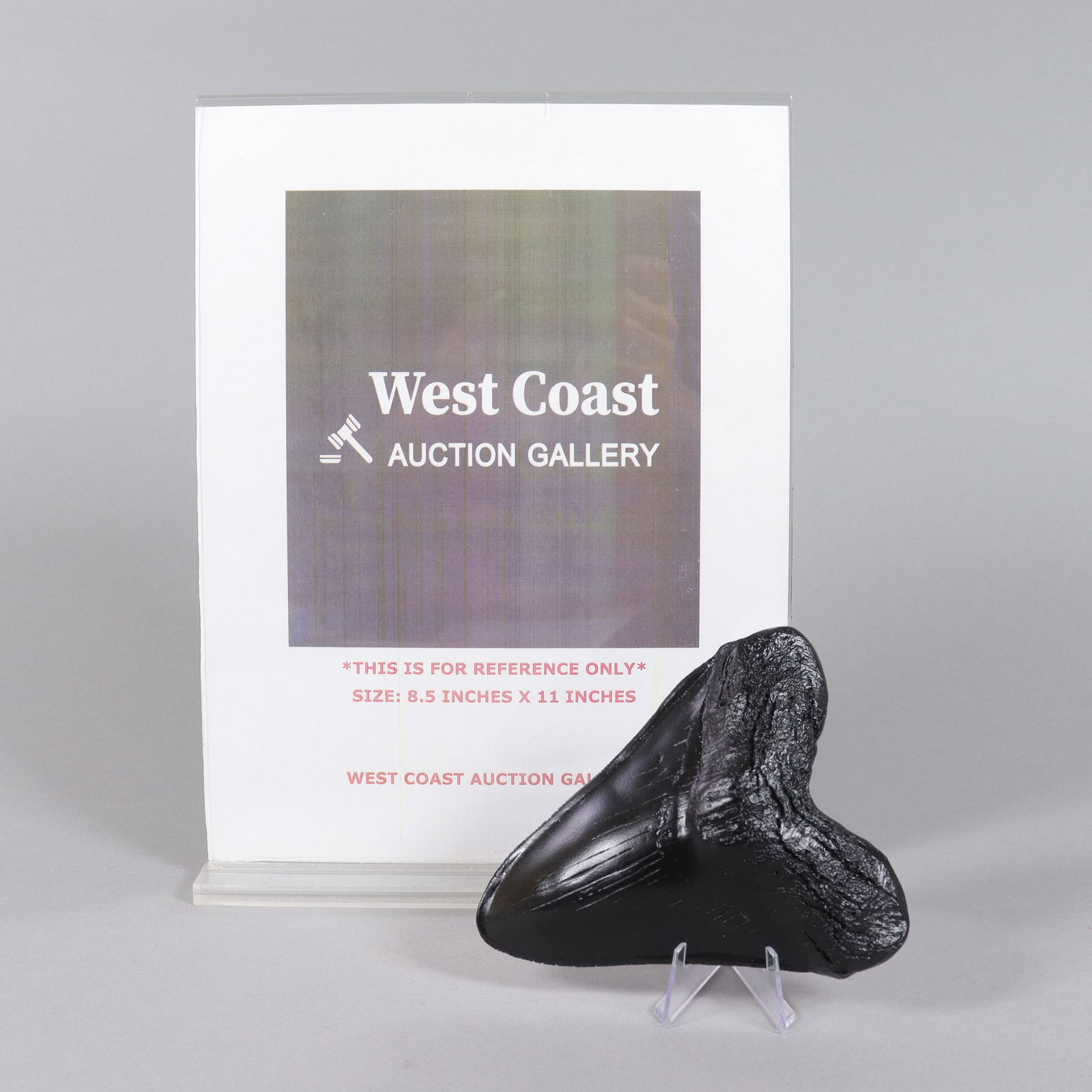 A large fossilized item - 2