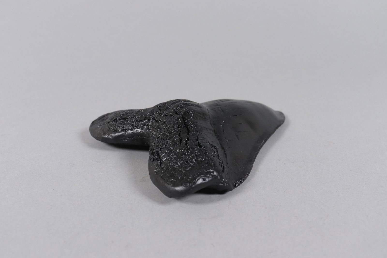 A large fossilized item - 4