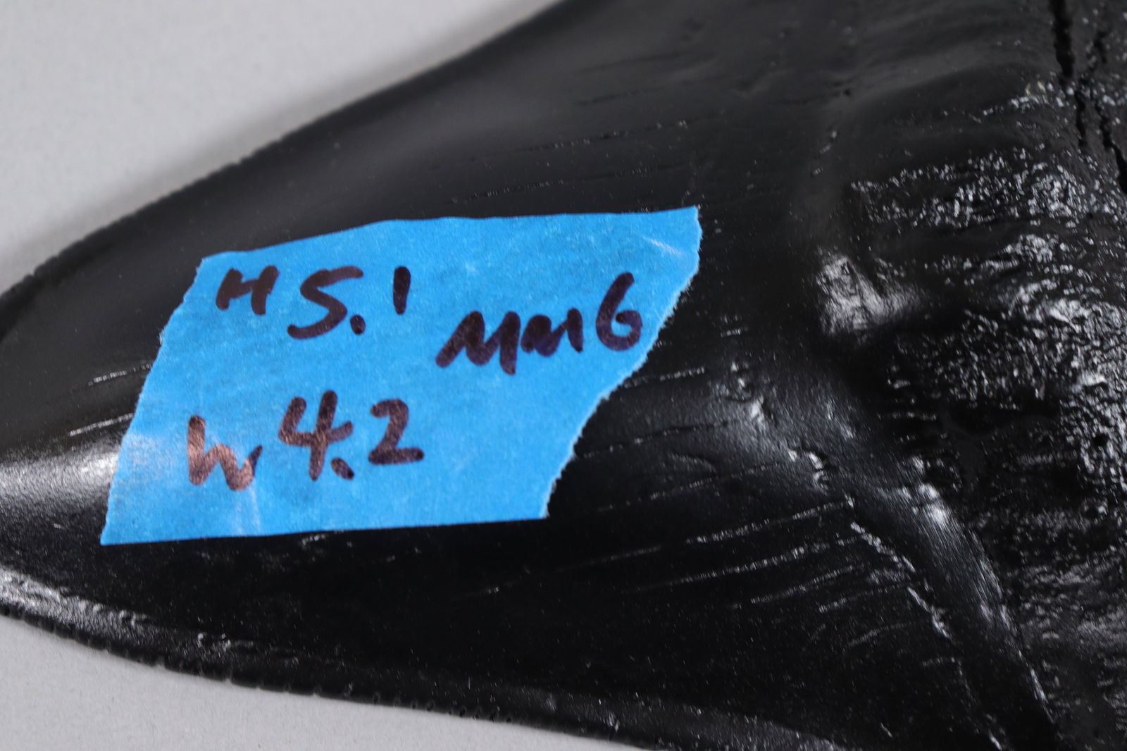 A large fossilized item - 6