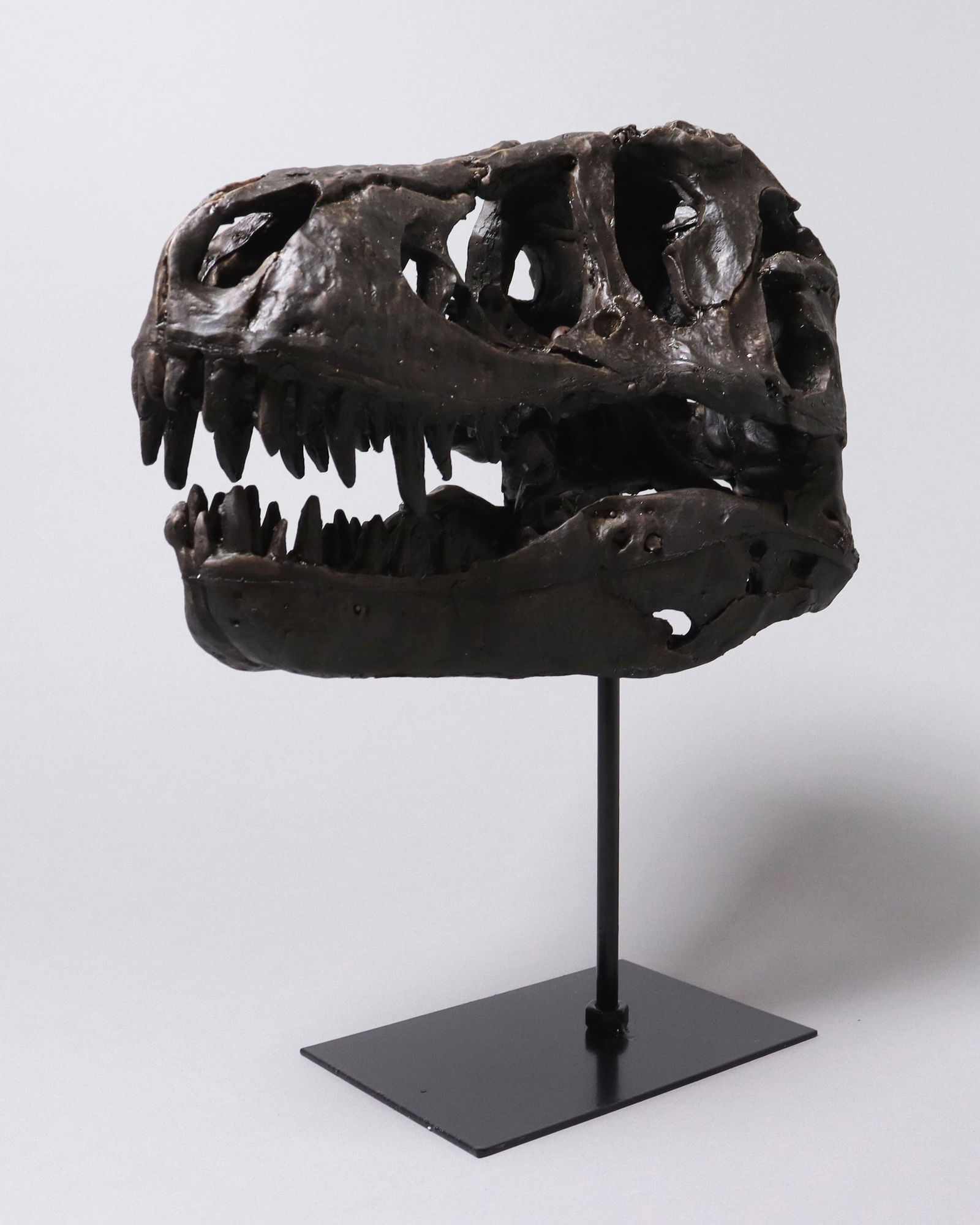 A fossilized item ungraded (1 of 9)