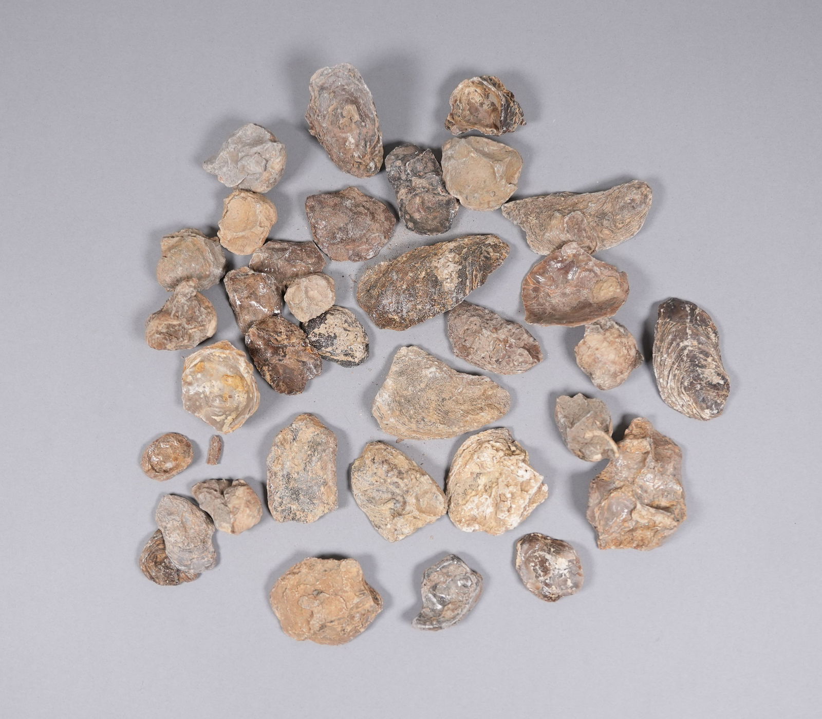 Lots fossilized stones and carving - 3