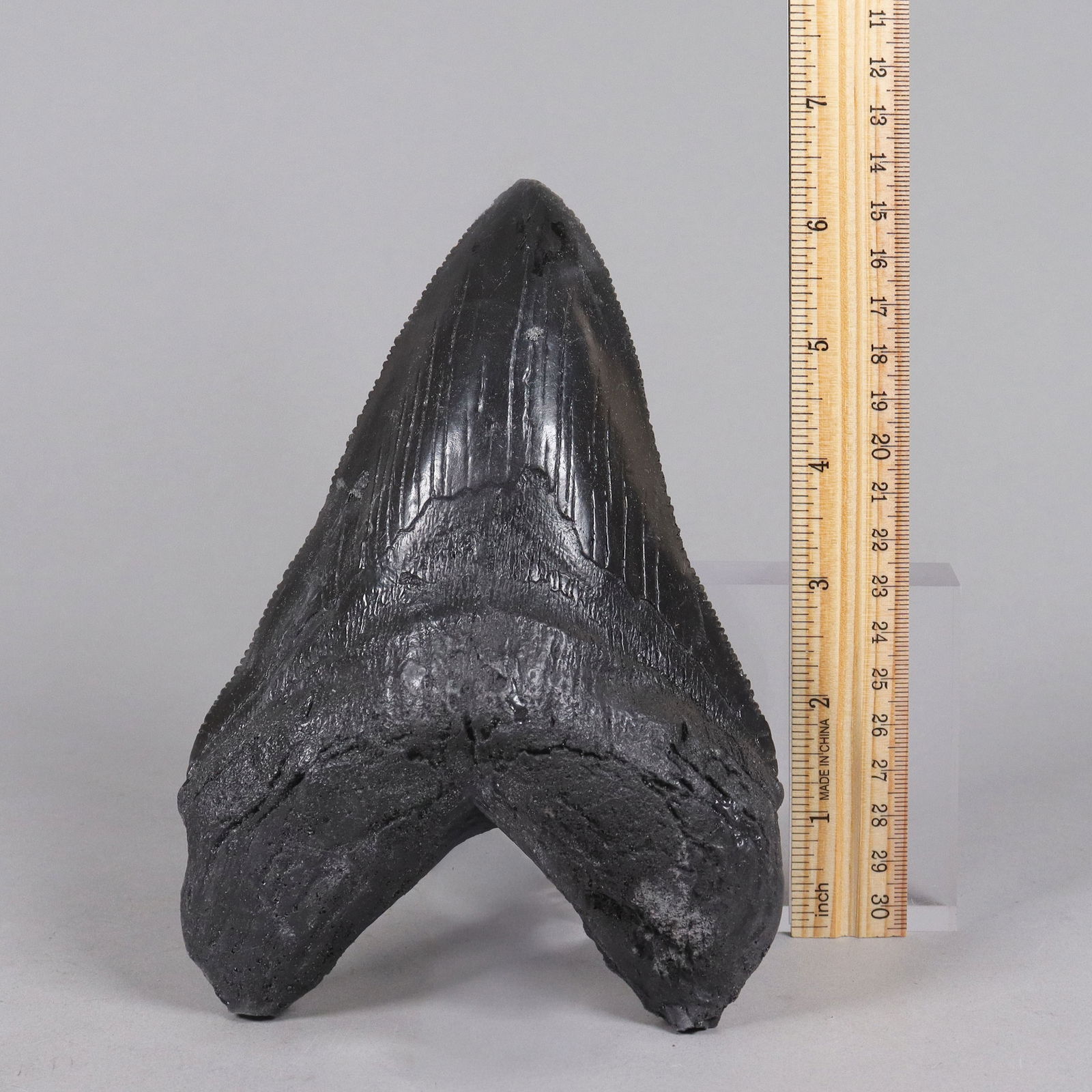 A large fossilized item ungraded: A large fossilized item, ungraded. All sales are final, no return. Please contact us with question before bidding.