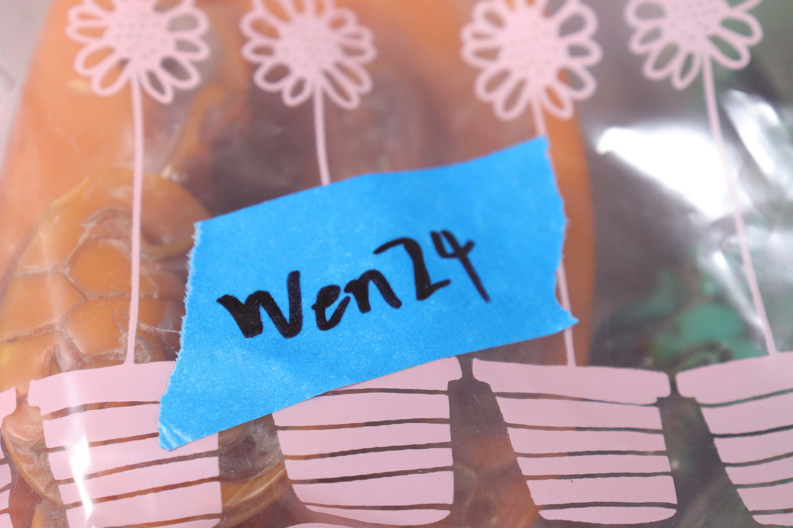 Lots Chinese carved items - 7