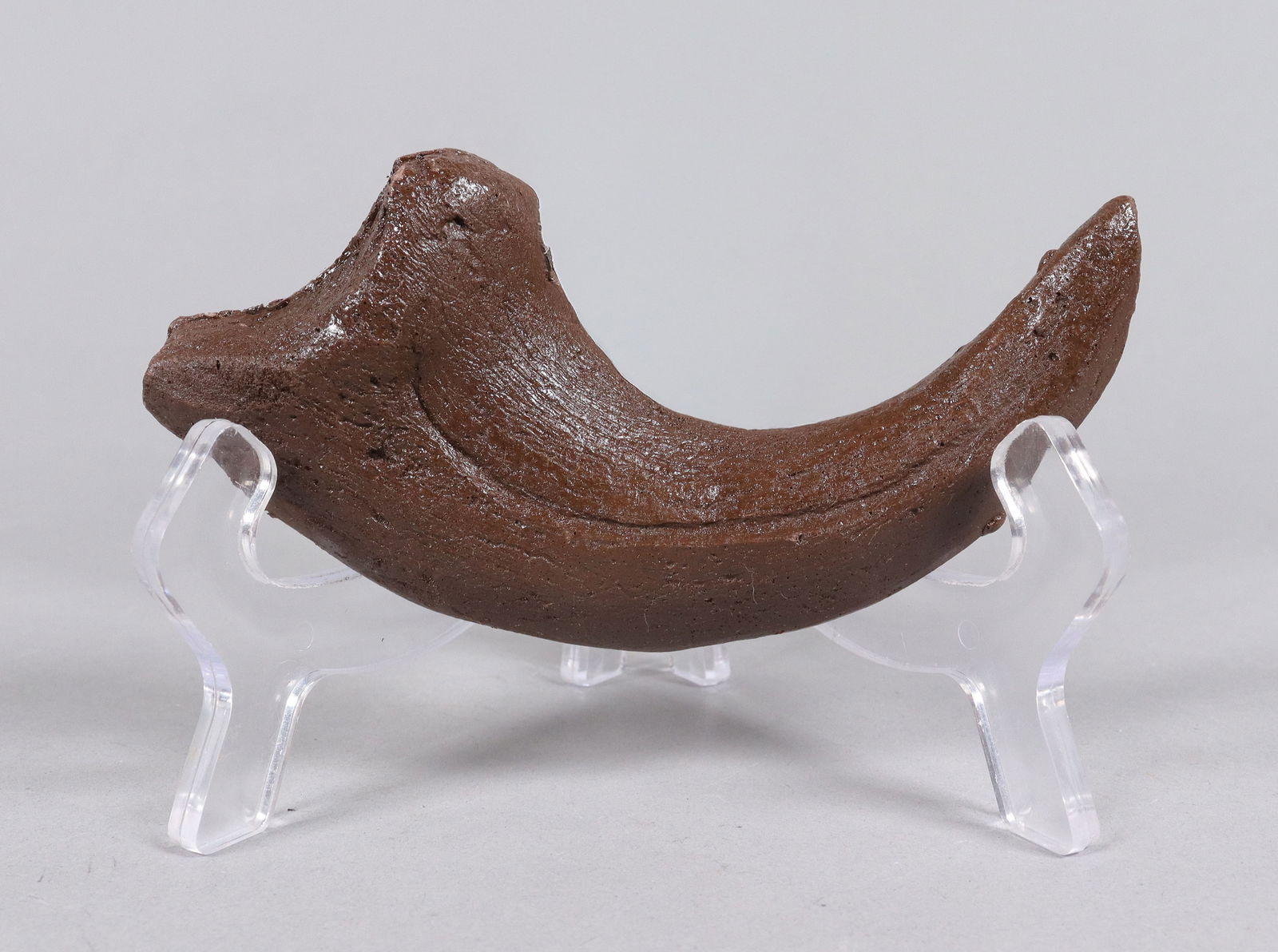 A large fossilized item ungraded: A large fossilized item, ungraded. All sales are final, no return. Please contact us with question before bidding.