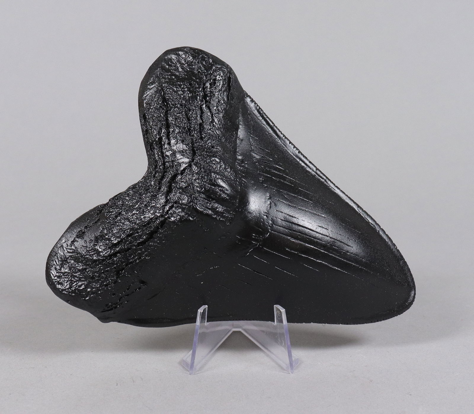 A large fossilized item ungraded: A large fossilized item, ungraded. All sales are final, no return. Please contact us with question before bidding.