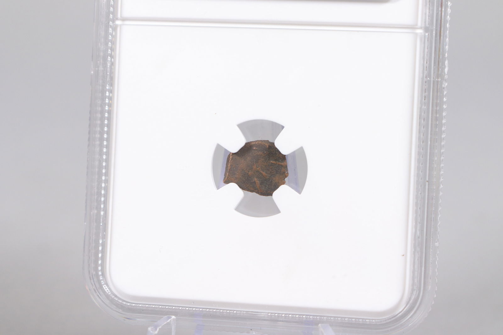 NGC archaic widow mite graded - 4