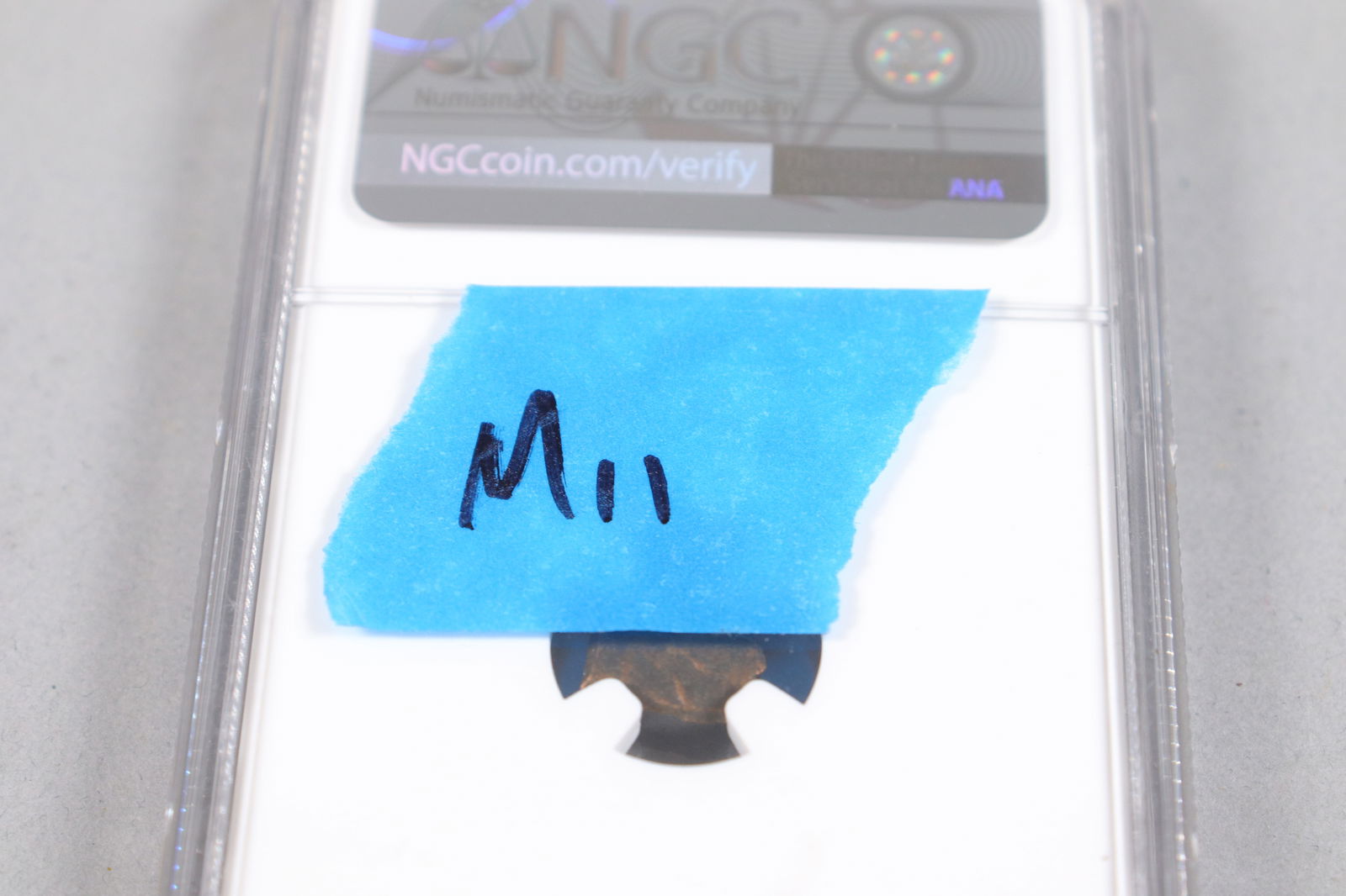 NGC archaic widow mite graded - 5