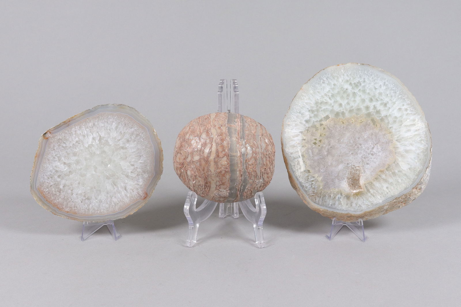 Lots fossilized item ungraded: Lots fossilized item, ungraded. All sales are final. No return.