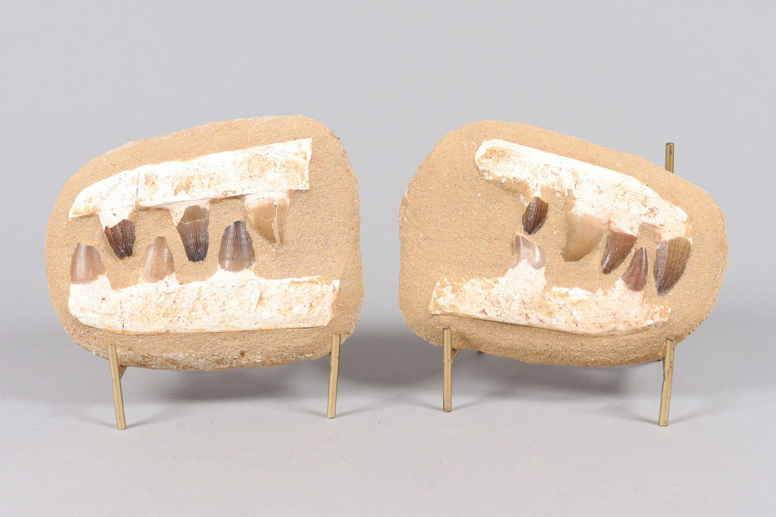 Lots fossilized item ungraded: Lots fossilized item, ungraded. All sales are final. No return.