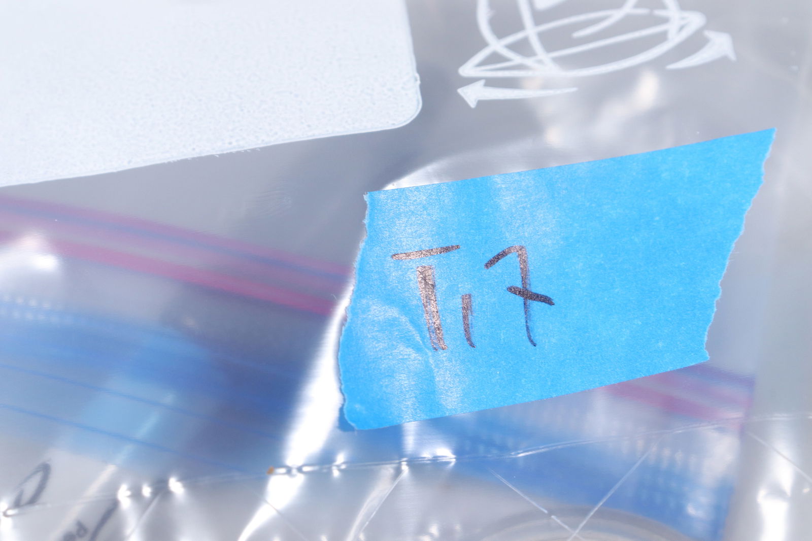 Lots fine items ungraded - 6