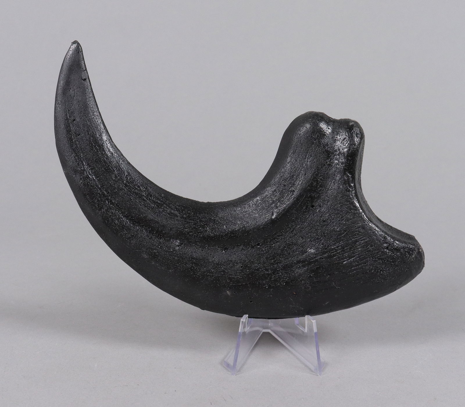 A large fossilized item ungraded: A large fossilized item. Ungraded. All sales are final, no return. H: 3.25" x W: 6."