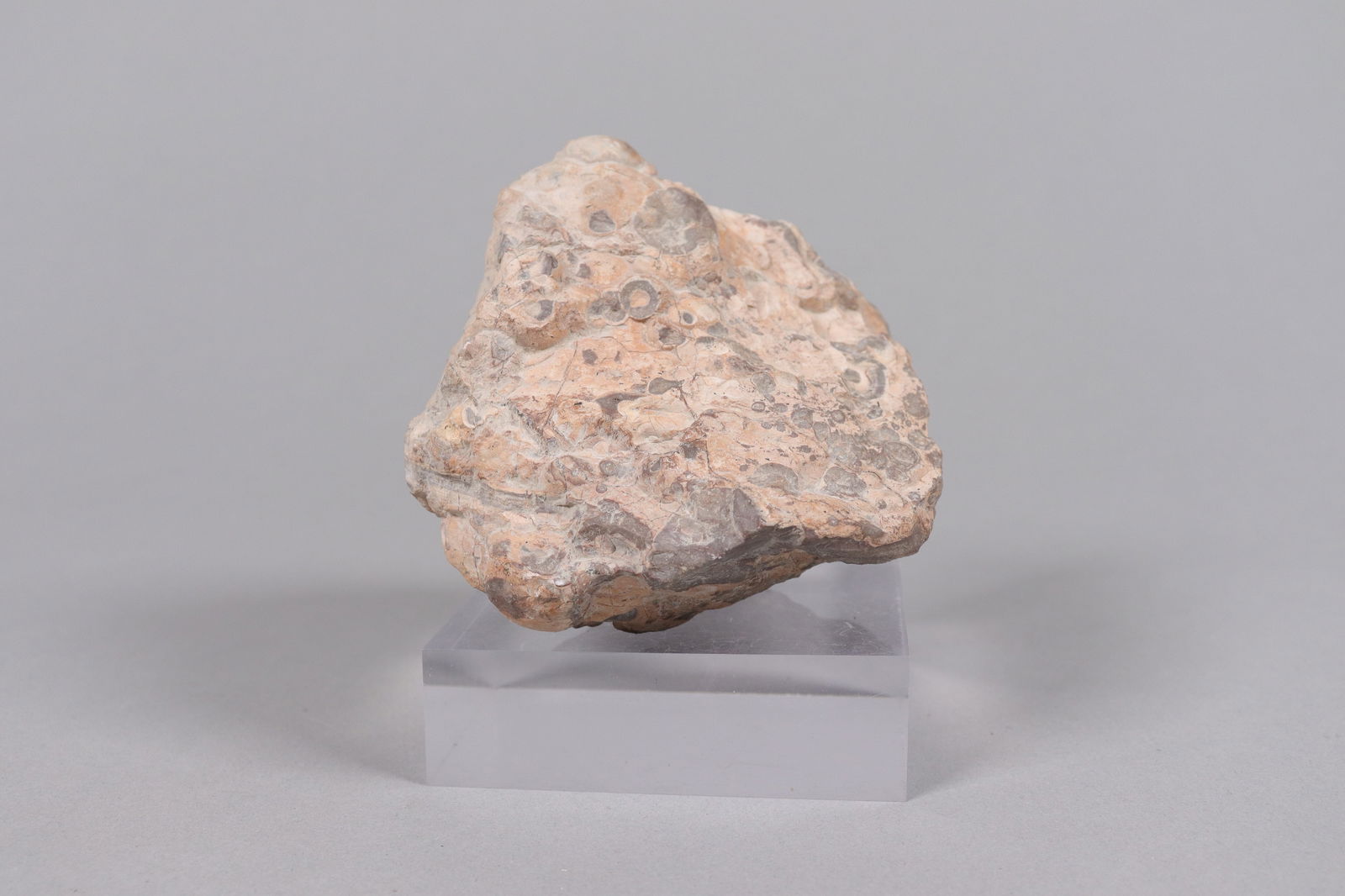 Lots fine cut geodes boulder - 4