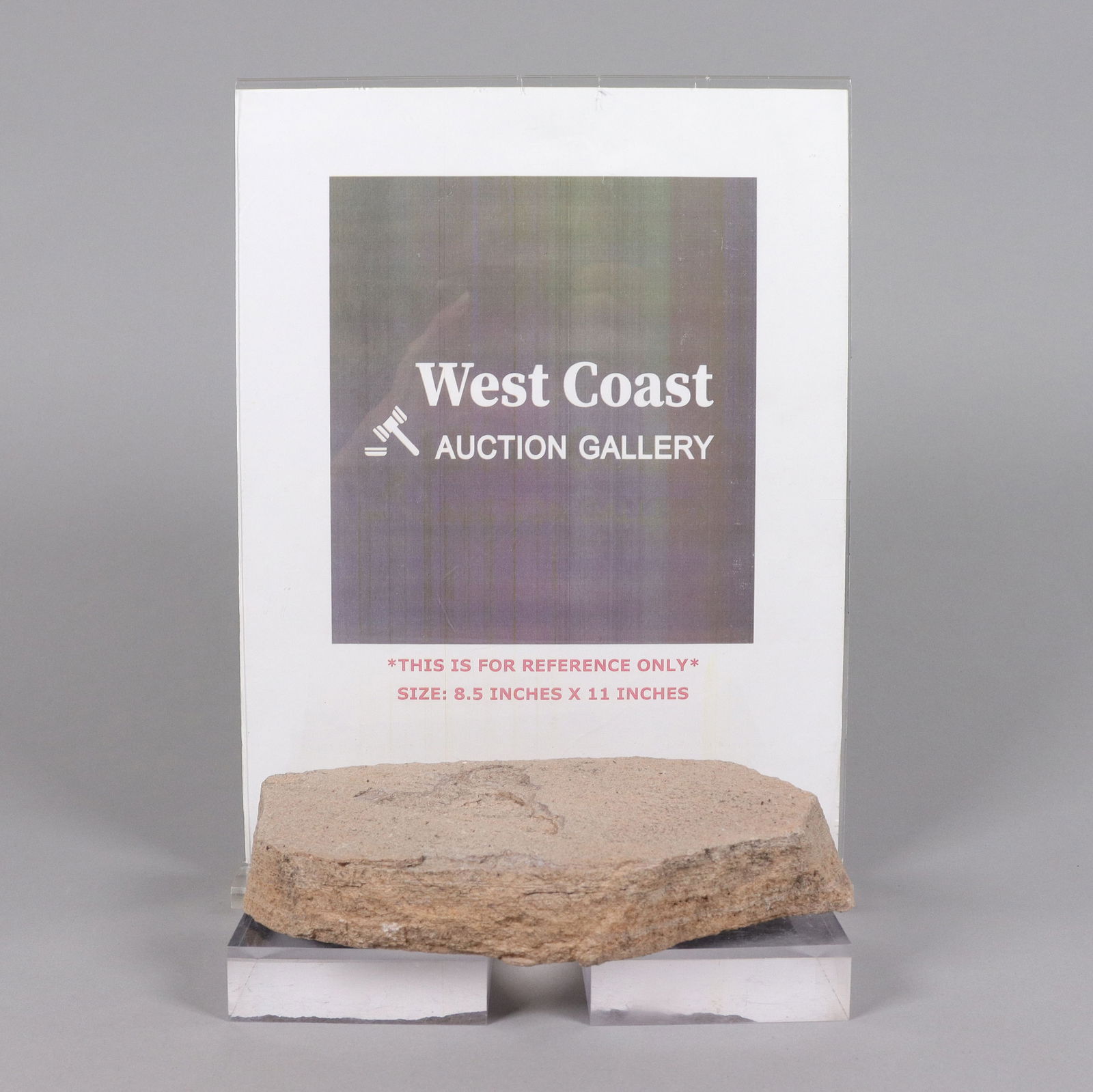 A fossilized stone item - 2