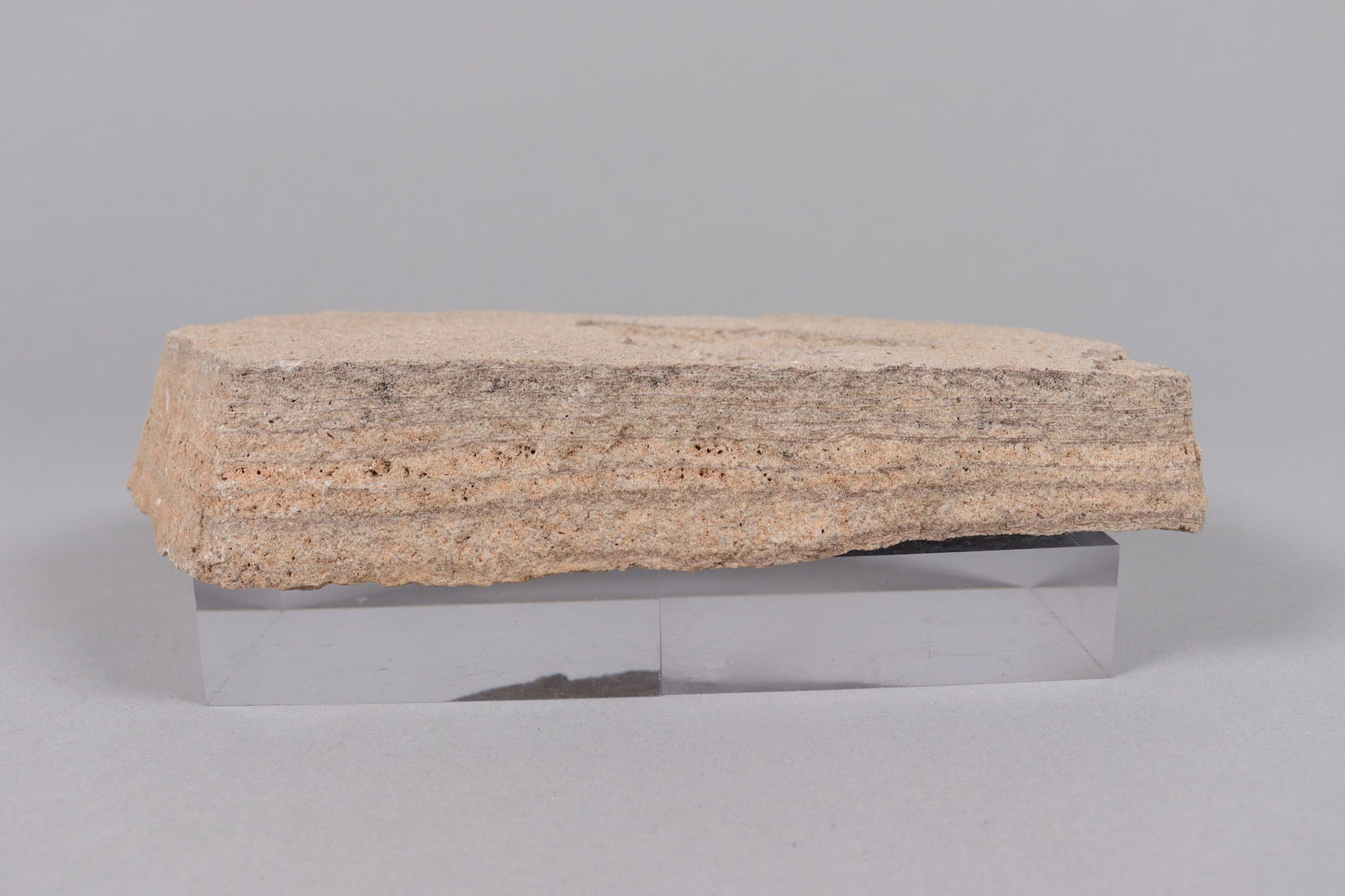 A fossilized stone item - 3