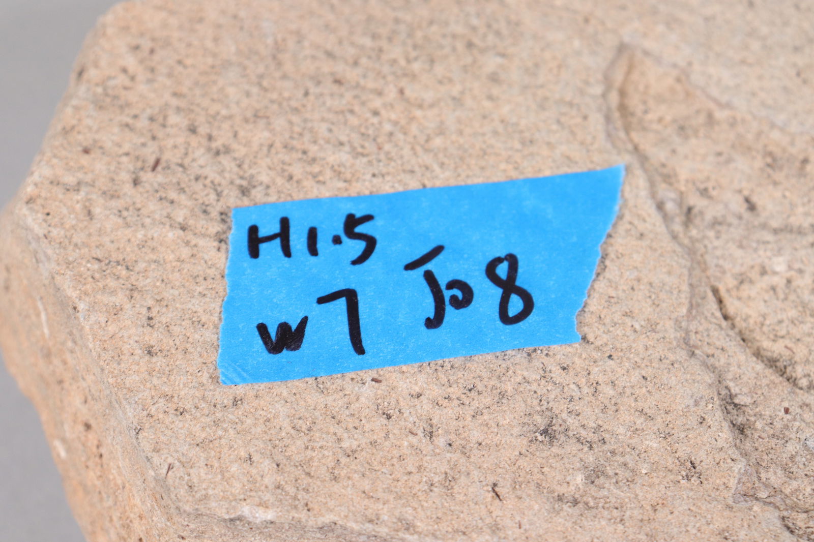 A fossilized stone item - 7