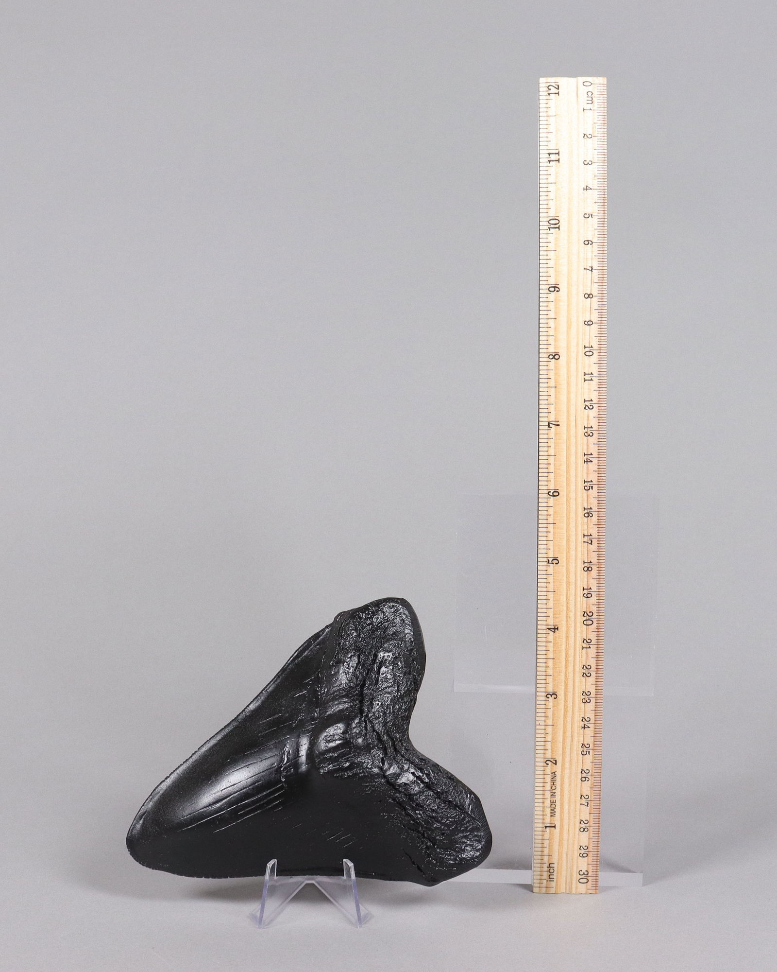 A large fossilized item ungraded: A large fossilized item, ungraded. All sales are final, no return.