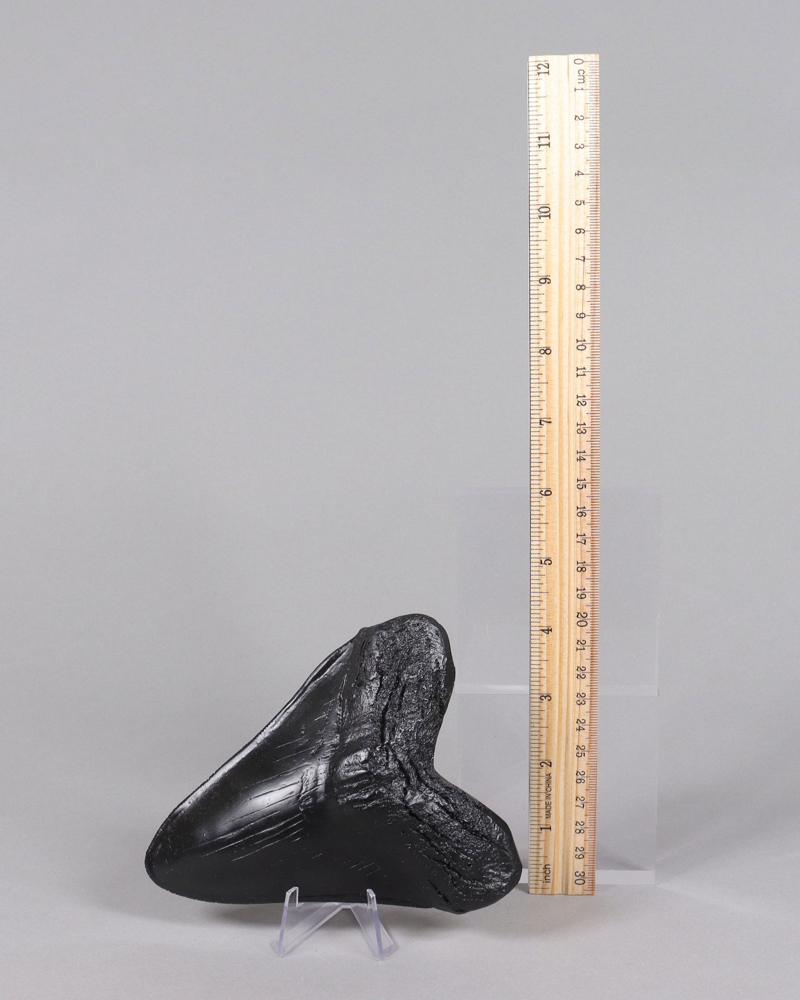 A large fossilized item ungraded: A large fossilized item, ungraded. All sales are final, no return.