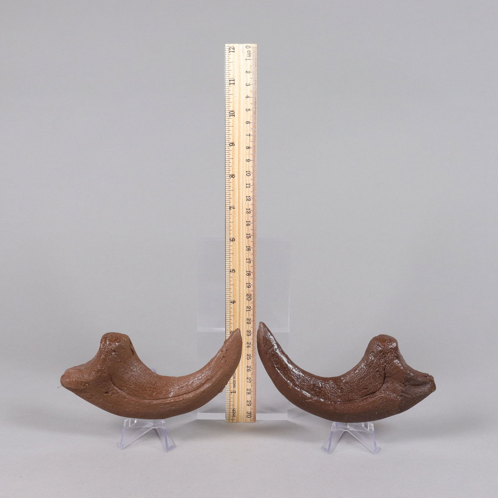 2 large fossilized items ungraded: 2 large fossilized, ungraded. All sales are final, no return. Condition selling it as is.