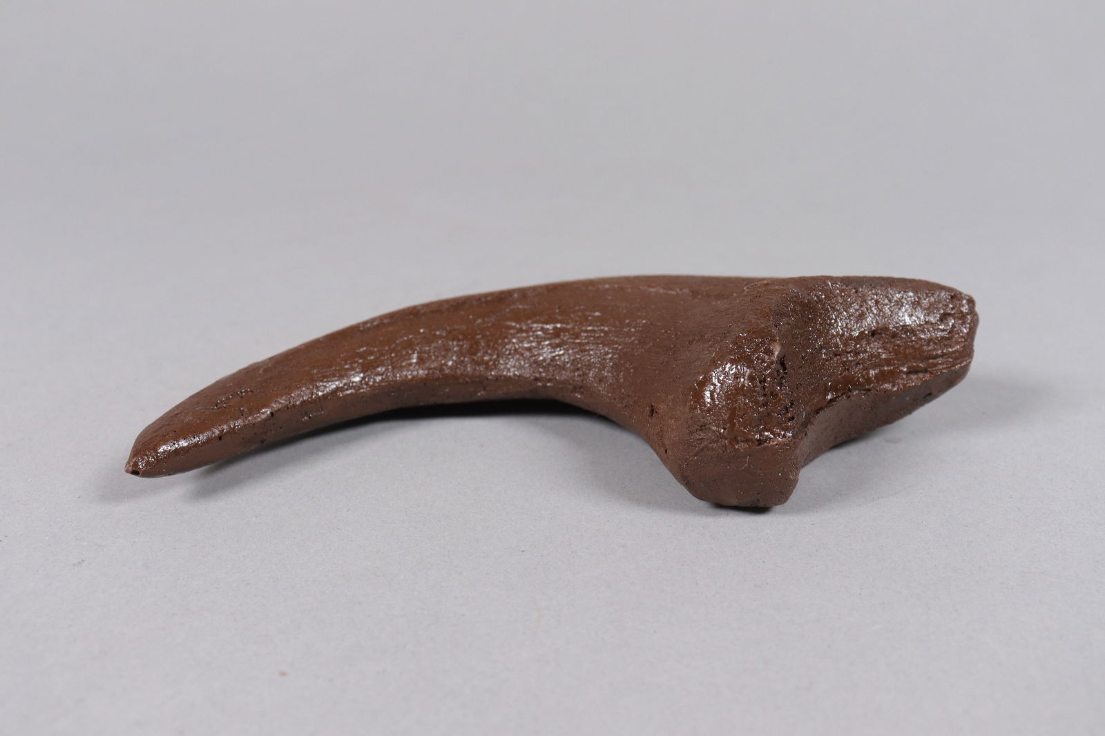 2 large fossilized items ungraded - 3