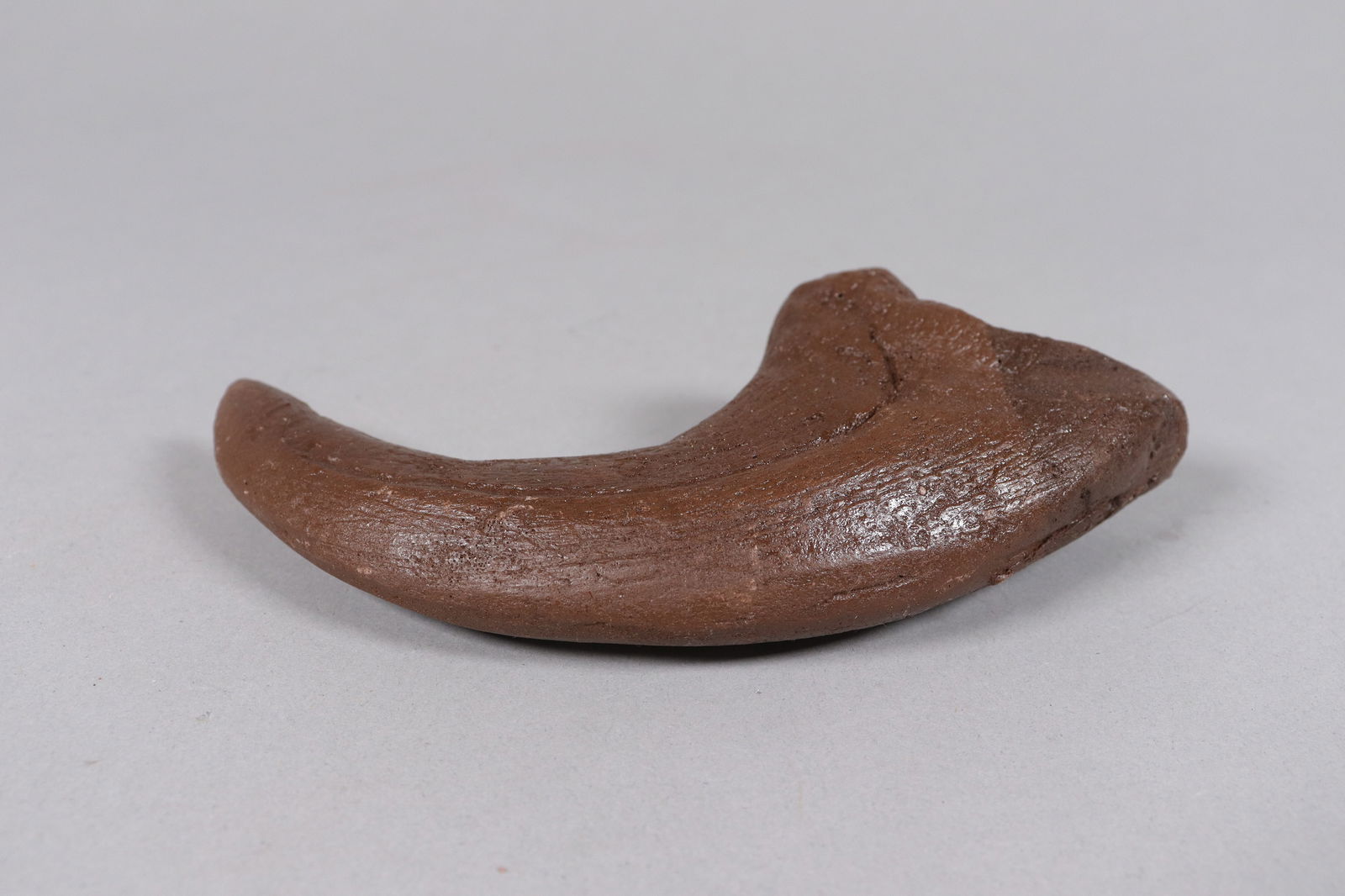 2 large fossilized items ungraded - 4