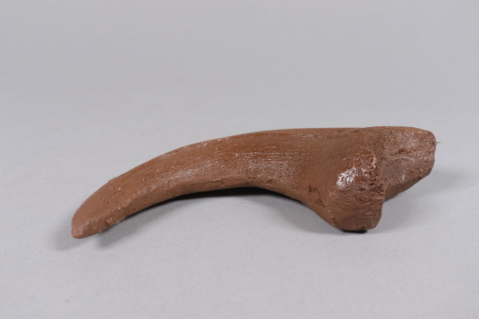 2 large fossilized items ungraded - 5