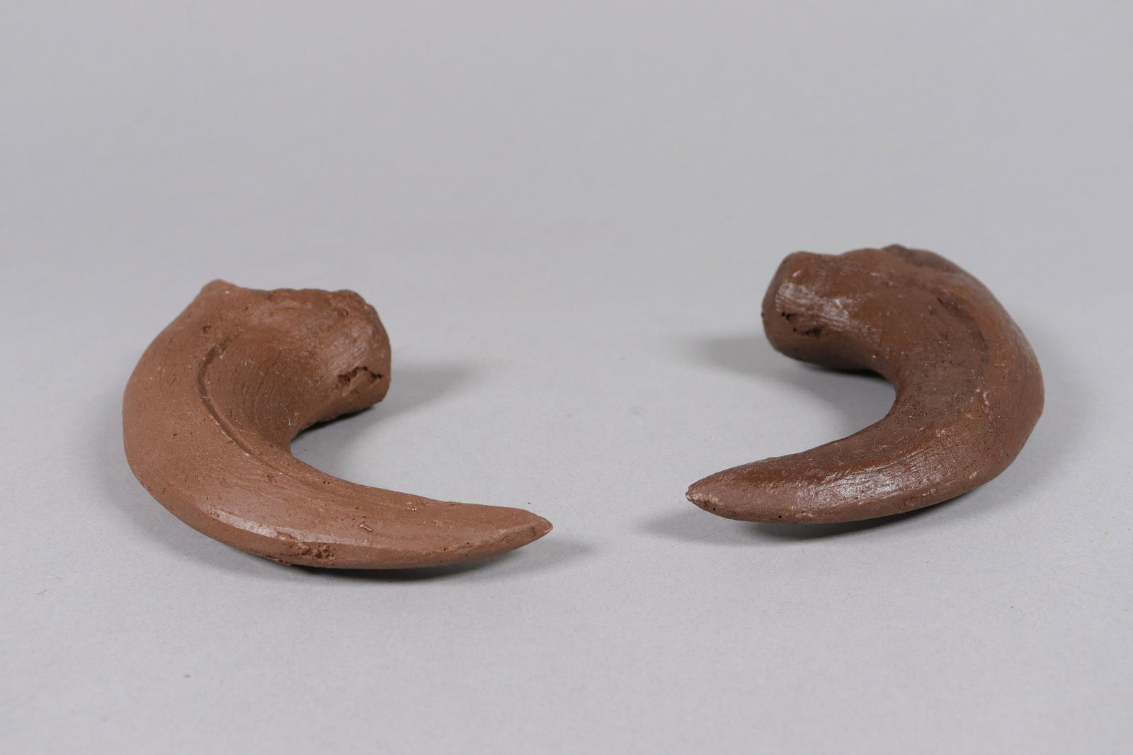 2 large fossilized items ungraded - 6