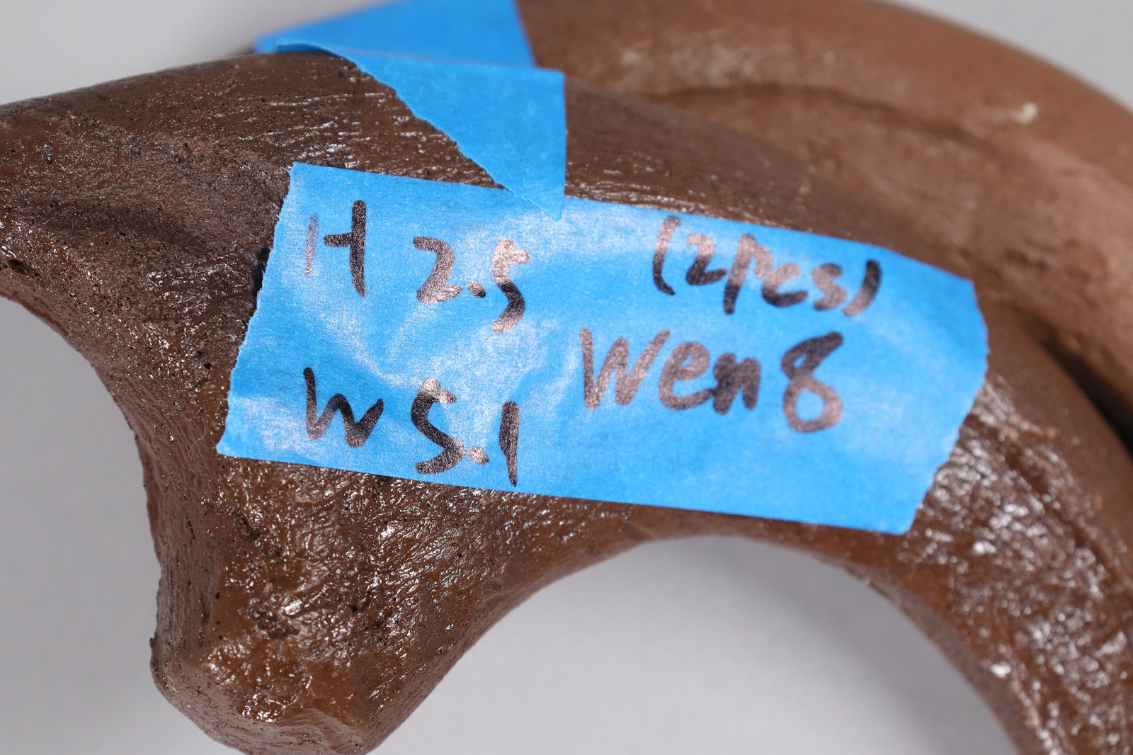 2 large fossilized items ungraded - 7