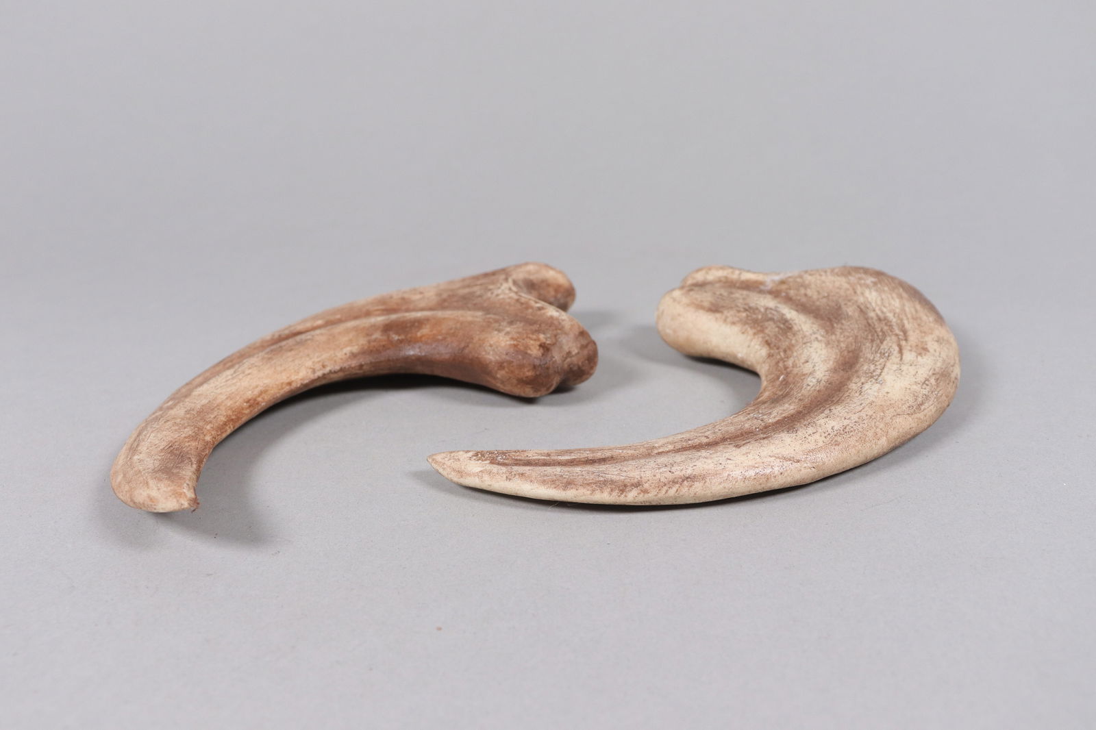 2 large fossilized items ungraded - 5