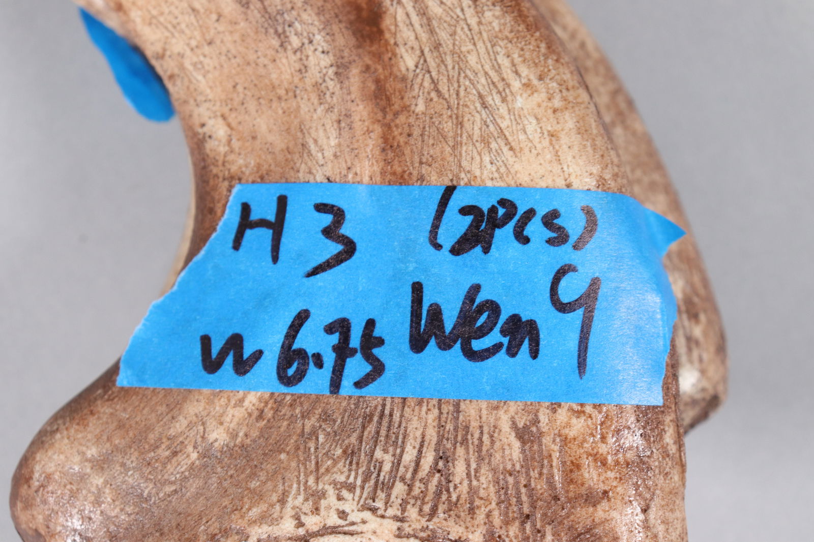 2 large fossilized items ungraded - 7