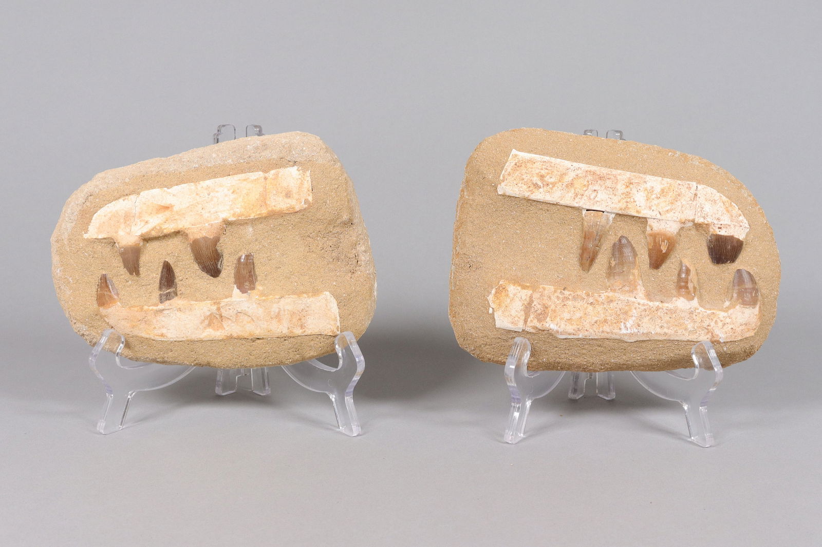 Lots fossilized items ungraded: Lots fossilized items, ungraded. All sales are final, no return.