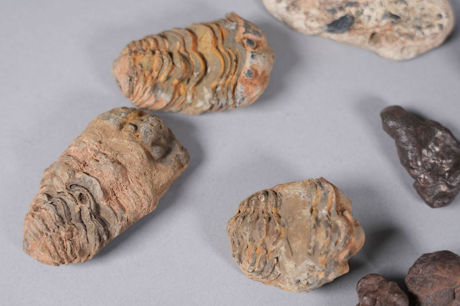 Lots fine items ungraded - 6