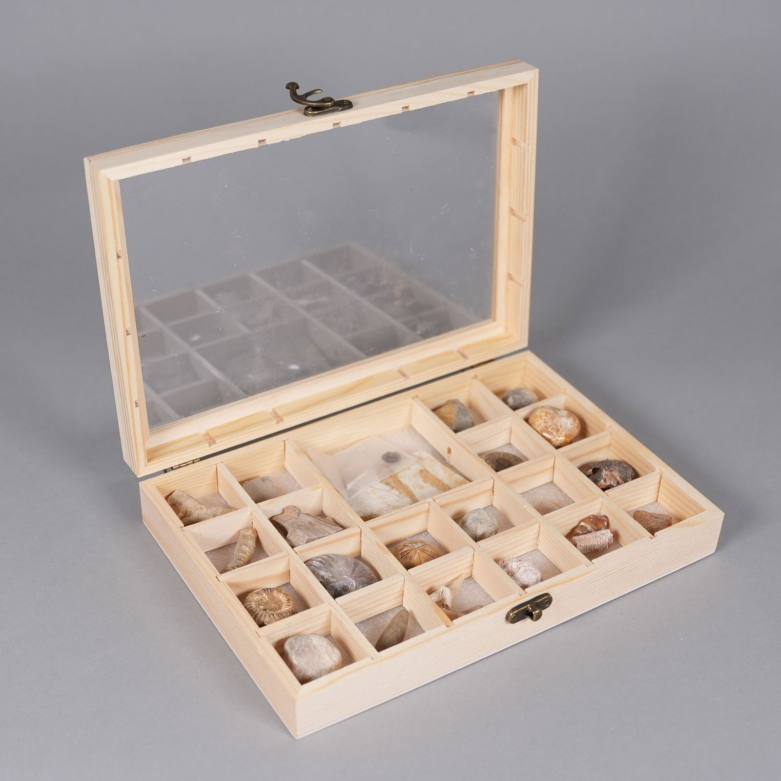 Lots fossilized items in box: Lots fossilized items in box.