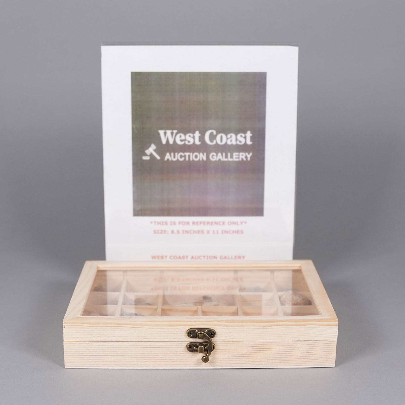 Lots fossilized items in box - 2