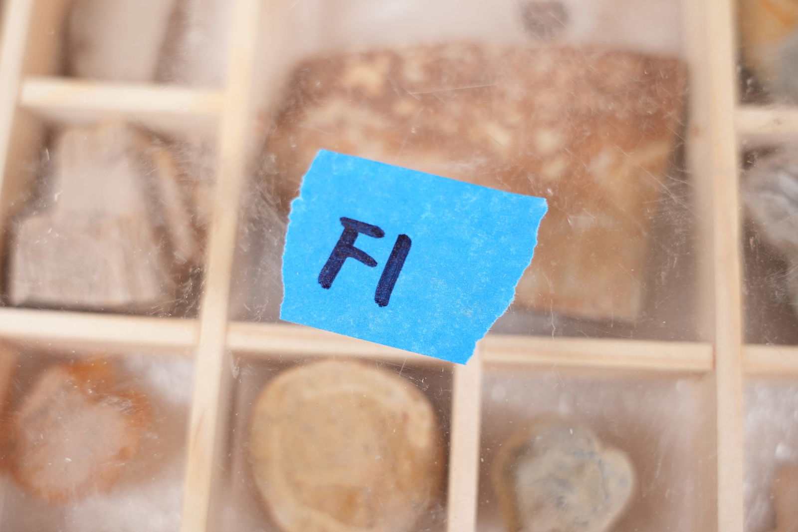 Lots fossilized items in box - 6