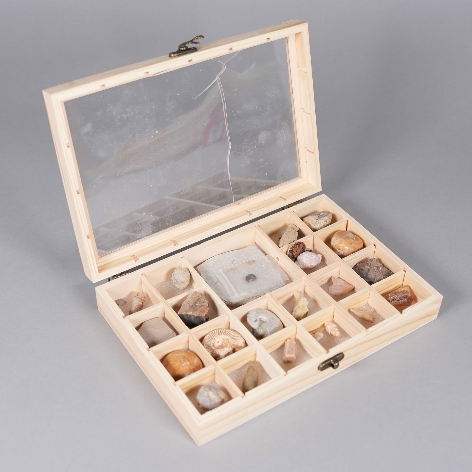 Lots fossilized items in box: Lots fossilized items in box.