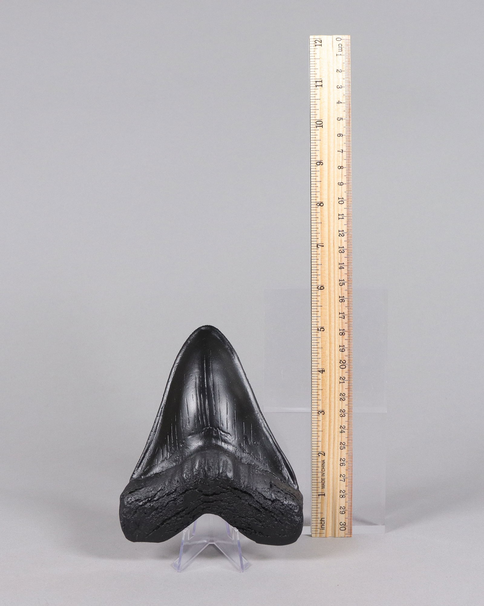 A large fossilized item ungraded: A large fossilized item, ungraded. We do not guarantee any material, age. All sales are final, no return.