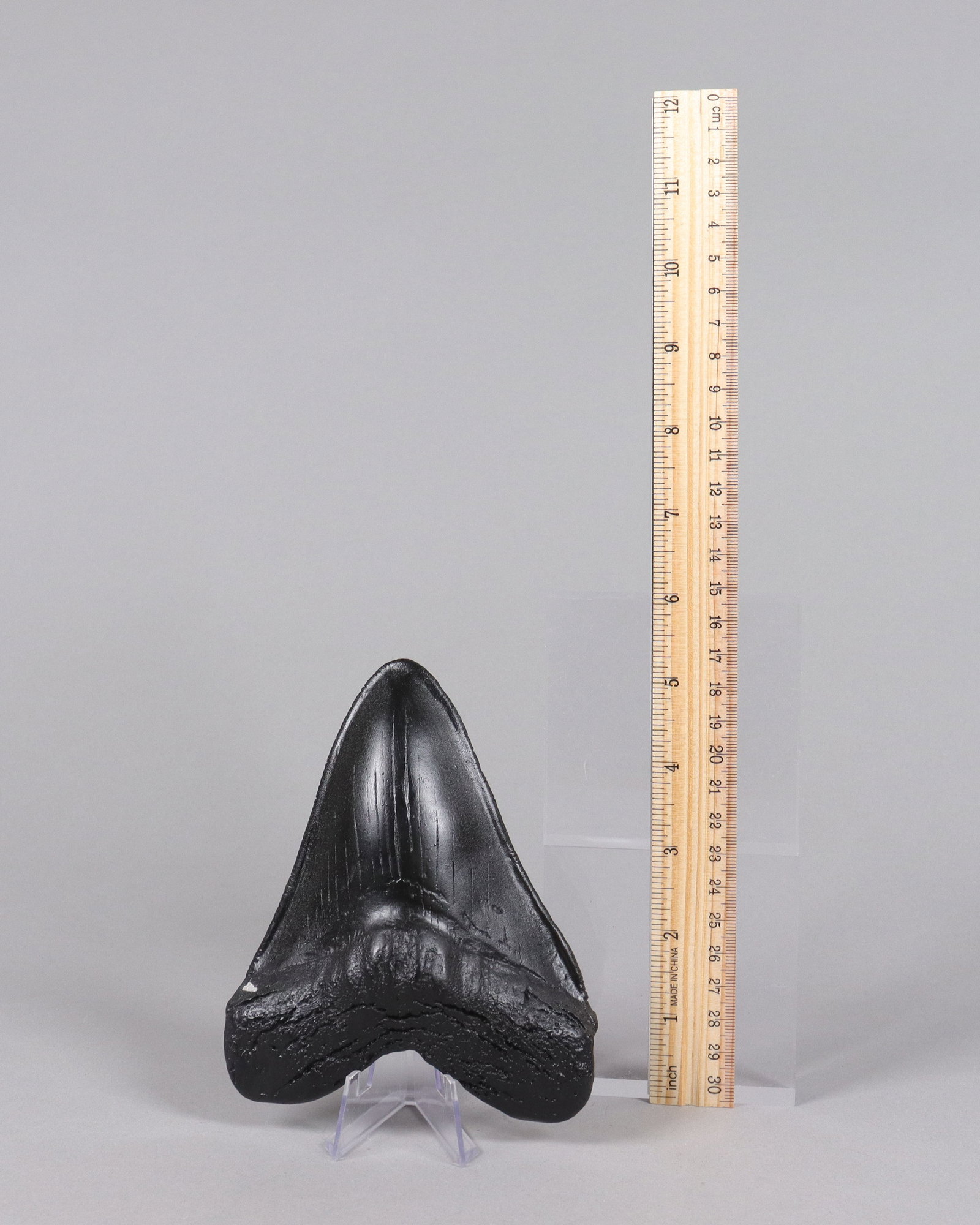 A large fossilized item ungraded: A large fossilized item, ungraded. We do not guarantee any material, age. All sales are final, no return.