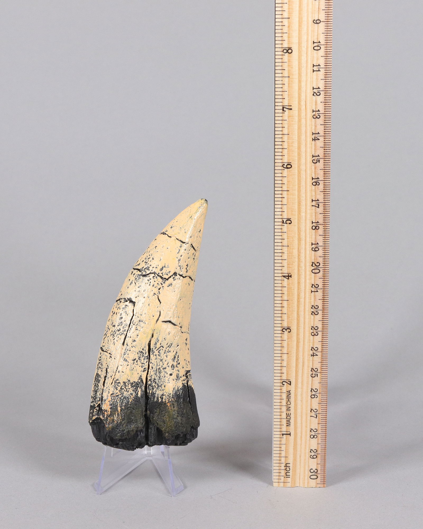 A large casted item ungraded: A large casted item, ungraded. All sales are final, no return.