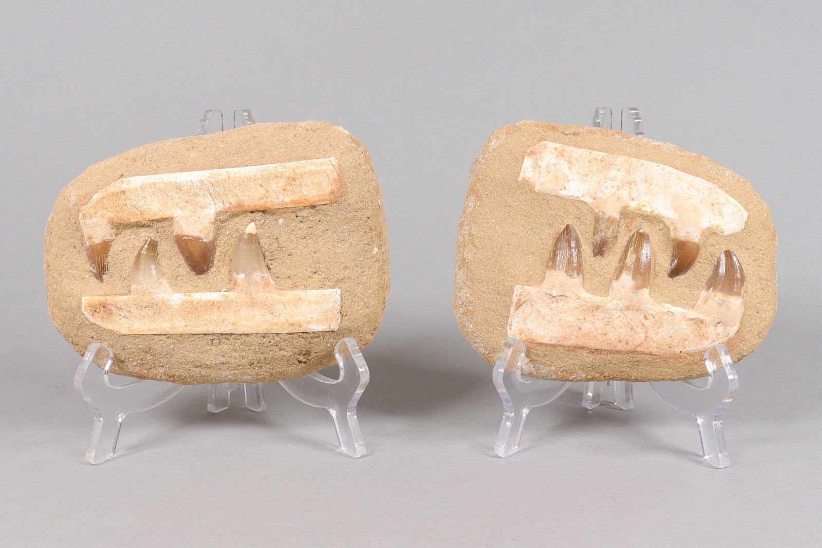 Lots casted items, ungraded. All sales are final, no return. (1 of 6)