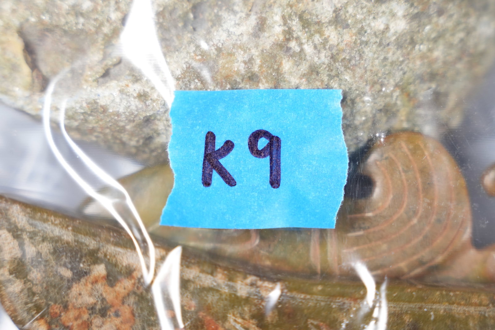 Lots finely carved items. - 7