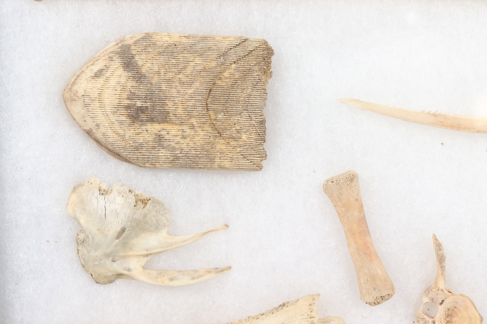 Lots fragments in box - 3