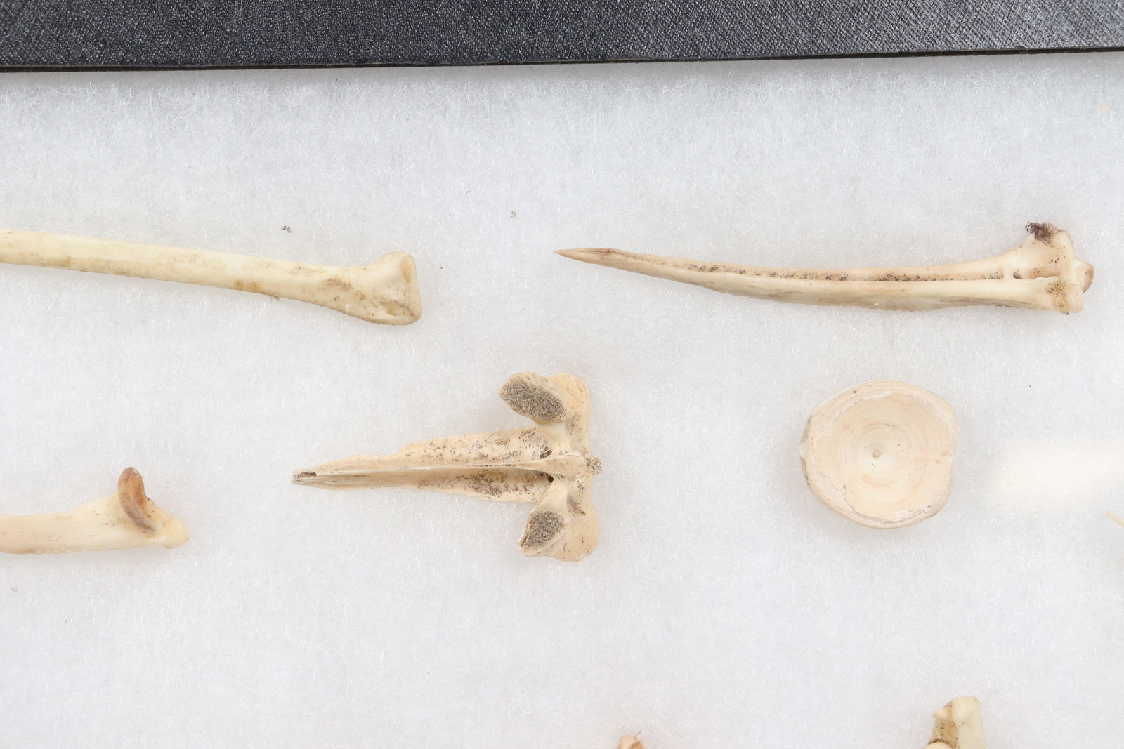 Lots fragments in box - 5
