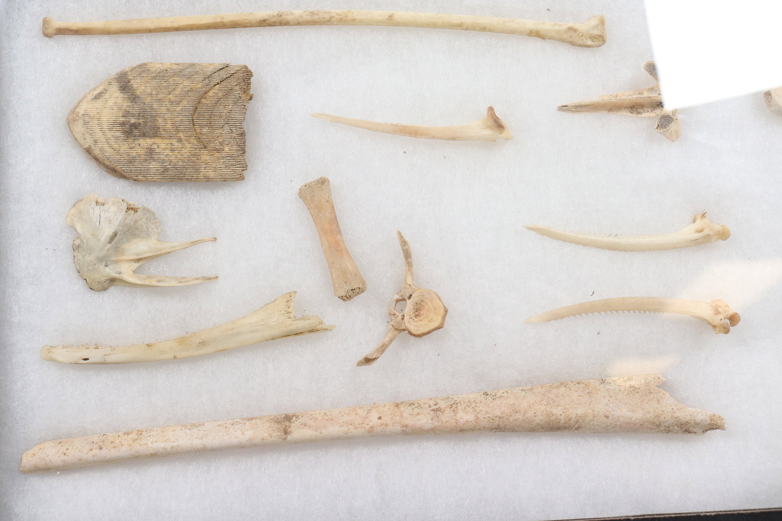 Lots fragments in box - 6