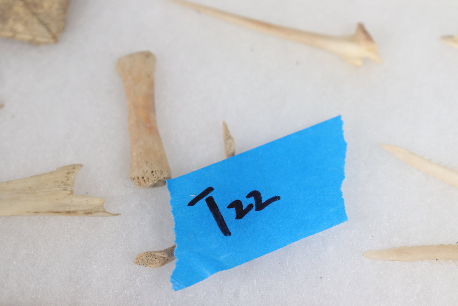 Lots fragments in box - 7