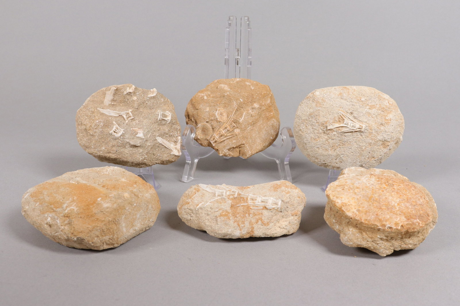 Lots carved boulders ungraded: Lots carved boulders ungraded, from an estate.