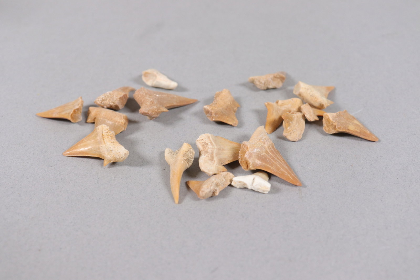 Lots fine fragments - 3